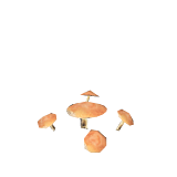MushroomPlant.png