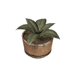 Plant02.png