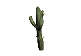 Cactus02.png