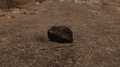 A coal surface boulder