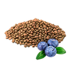 BlueberrySeed.png