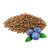 BlueberrySeed.png