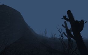 The Desert at night