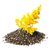 GoldenrodSeed.png