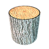 TrunkPine.png