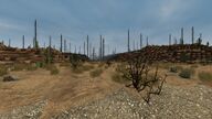 The edge of the biomes between the Desert and the Burnt Forest.