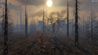 Burnt Forest view