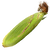 Corn.png